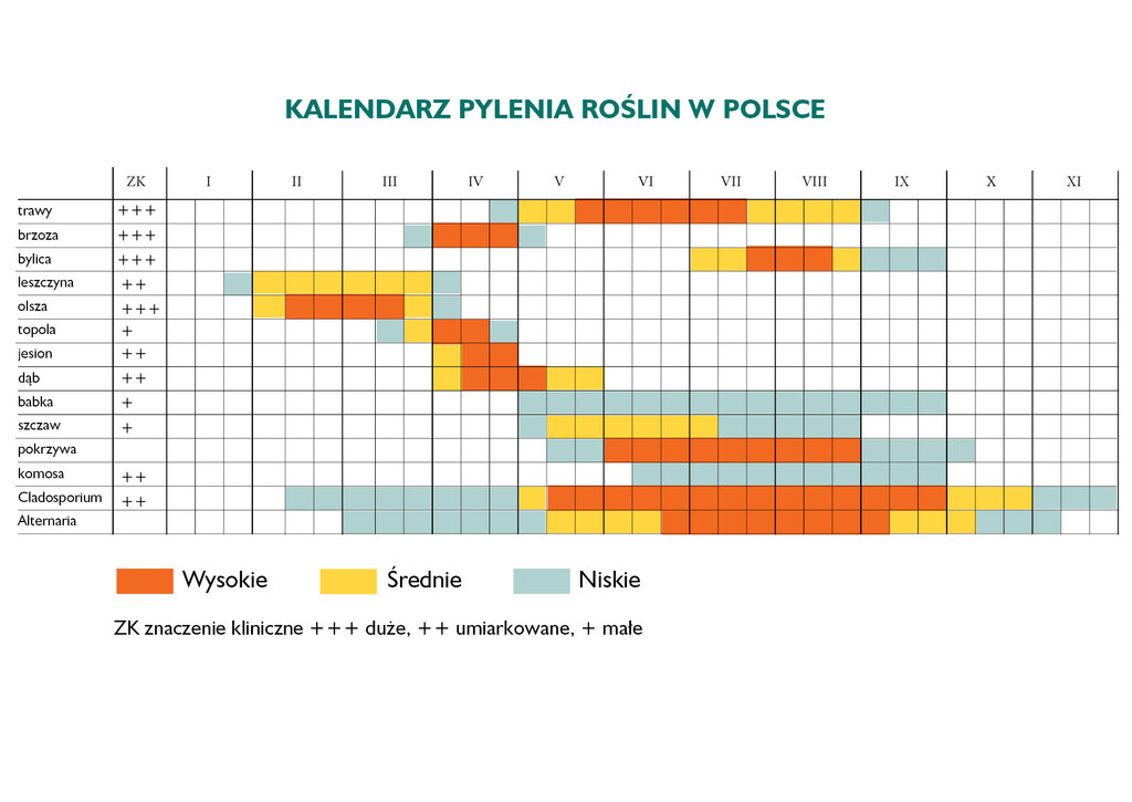 kalendarz pylenia