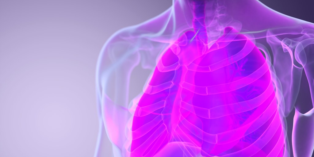 pasożyty w płucach